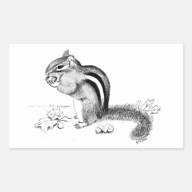 Chipmunk-Aufkleber Rechteckiger Aufkleber (Vorderseite)