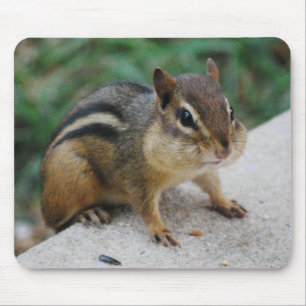 Chipmunk-Backen Mousepad