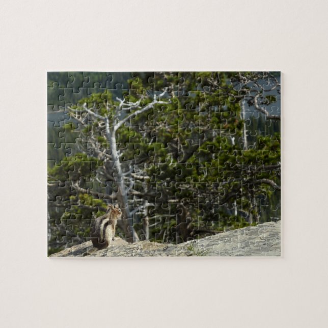 Chipmunk bei Two Medicine Lake Overlook Puzzle (Horizontal)