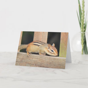 Chipmunk Birthday Card Karte