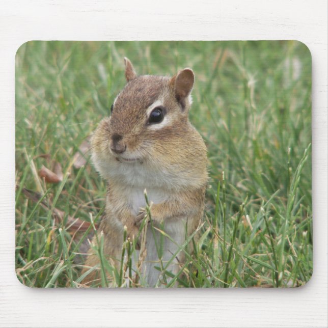 Chipmunk Cheeks Mouse Pad Mousepad (Vorne)
