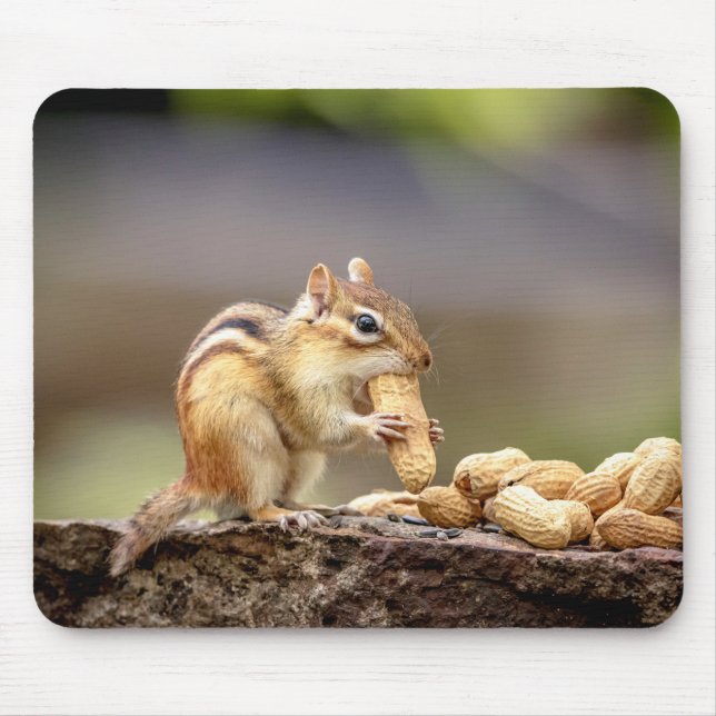 Chipmunk, der eine Erdnuss isst Mousepad (Vorne)