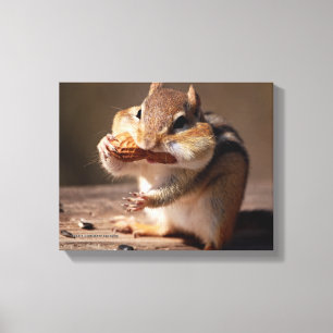 Chipmunk, der sein Gesicht erstickt Leinwanddruck