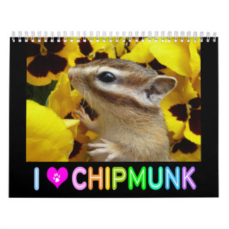 Chipmunk-Foto (3) Kalender