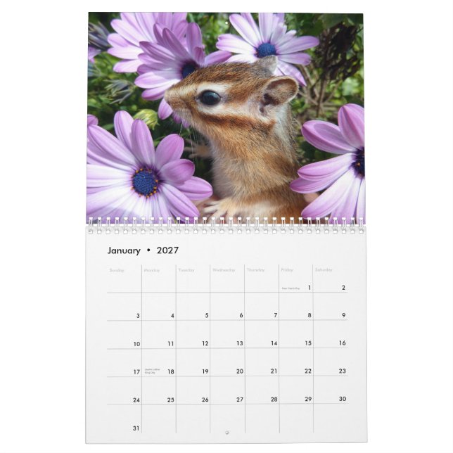 Chipmunk-Foto (3) Kalender (Jan 2027)