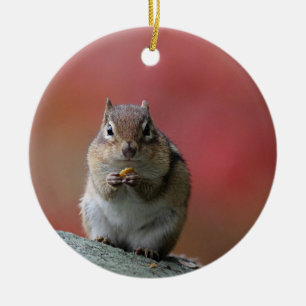 Chipmunk-Foto Keramikornament