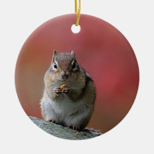Chipmunk-Foto Keramikornament (Vorne)