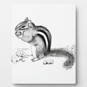 Chipmunk Fotoplatte