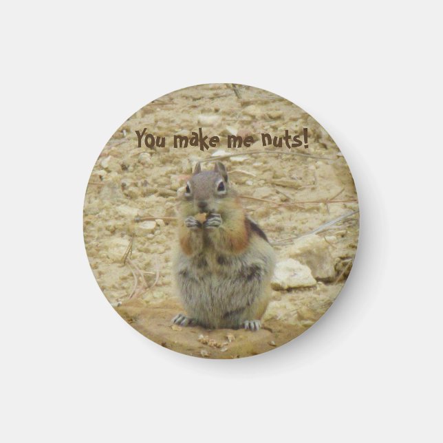 Chipmunk Funny Magnet (Vorne)