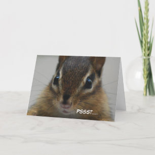 Chipmunk-Gruß-Karte Karte