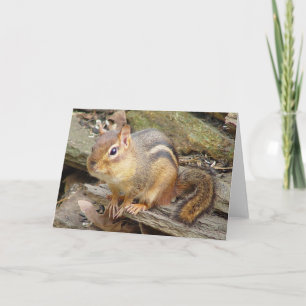 Chipmunk-Grüßkarte 2 Karte