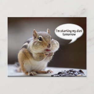 Chipmunk im Diet-Foto Postkarte