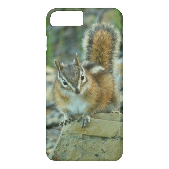 Chipmunk im Glacier-Nationalpark Case-Mate iPhone Hülle (Rückseite)
