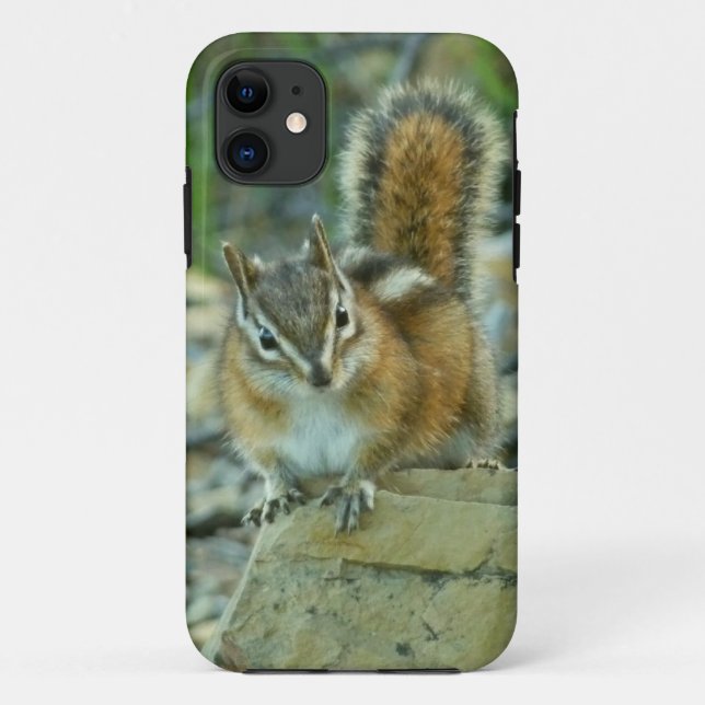 Chipmunk im Glacier-Nationalpark Case-Mate iPhone Hülle (Rückseite)