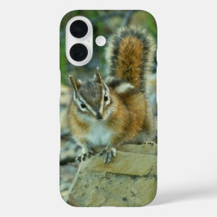 Chipmunk im Glacier-Nationalpark iPhone 16 Hülle