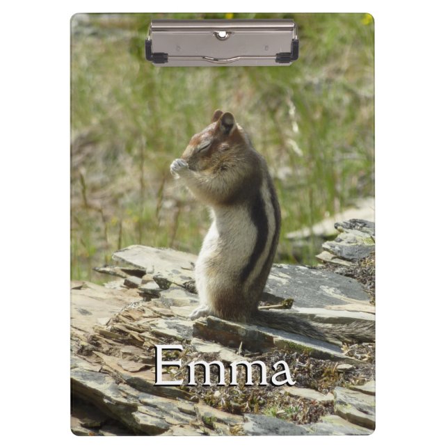 Chipmunk im Glacier-Nationalpark II Klemmbrett (Vorderseite)