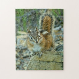 Chipmunk im Glacier-Nationalpark Puzzle