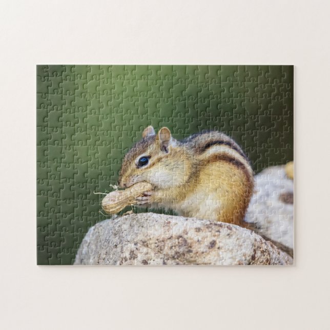 Chipmunk in den Adirondacks Puzzle (Horizontal)