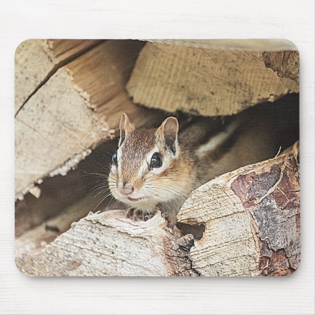Chipmunk in einem hölzernen Stapel Mousepad (Vorne)