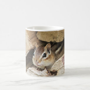 Chipmunk in einem Holzstapel Kaffeetasse