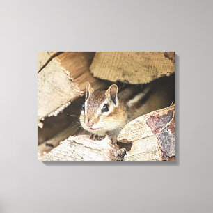 Chipmunk in einem Holzstapel Leinwanddruck