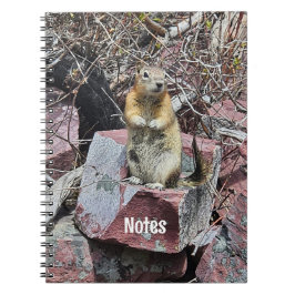 Chipmunk in Glacier National Park Fotografie Notizblock