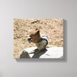 Chipmunk in Yosemite, Kalifornien Leinwanddruck