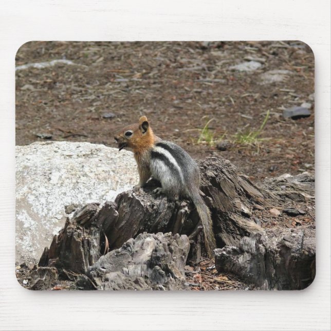 Chipmunk in Yosemite, Kalifornien Mousepad (Vorne)