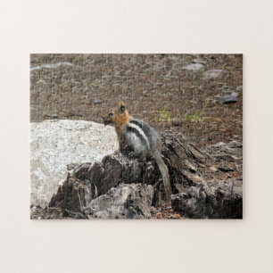 Chipmunk in Yosemite, Kalifornien Puzzle