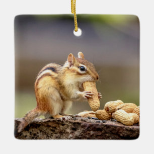 Chipmunk isst Erdnuss Keramikornament