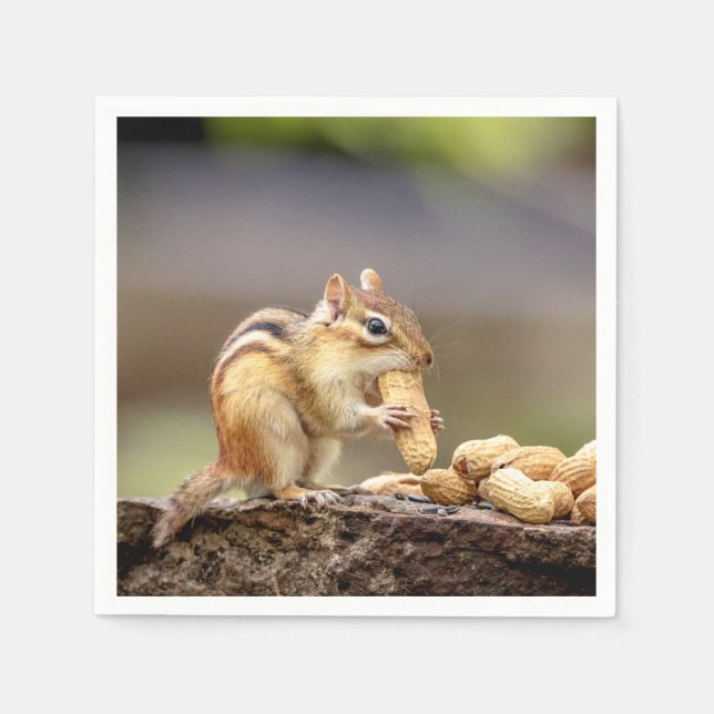 Chipmunk isst Erdnuss Serviette (Vorderseite)
