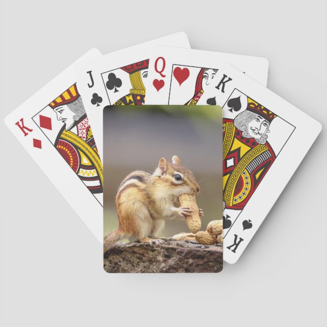 Chipmunk isst Erdnuss Spielkarten (Rückseite)