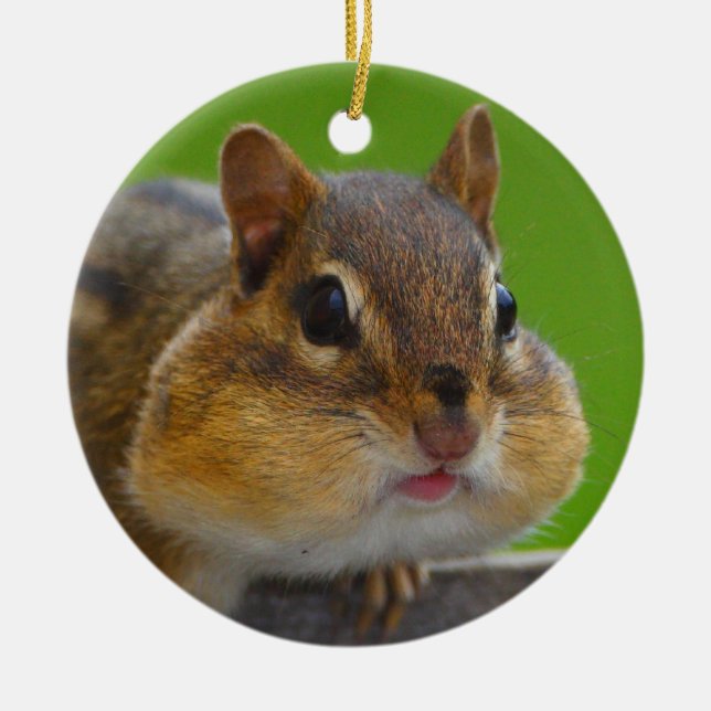 Chipmunk ist voll keramikornament (Vorne)