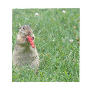 Chipmunk.JPG Notizblock