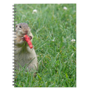 Chipmunk.JPG Notizblock