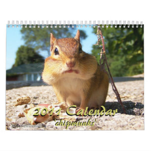 Chipmunk-Kalender 2011 Kalender