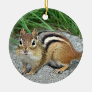 Chipmunk Keramik Ornament