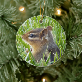 Chipmunk Keramik Ornament