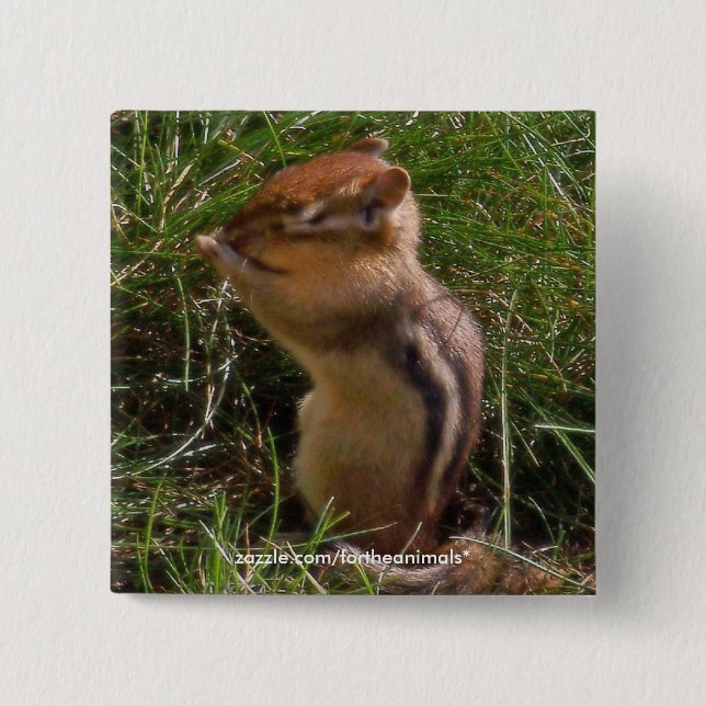 Chipmunk - Knopf Button (Vorderseite)
