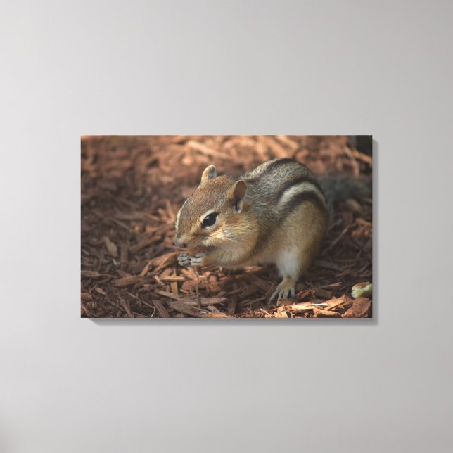 Chipmunk Leinwanddruck (Vorderseite)