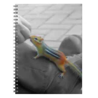 Chipmunk Lunch Notizblock