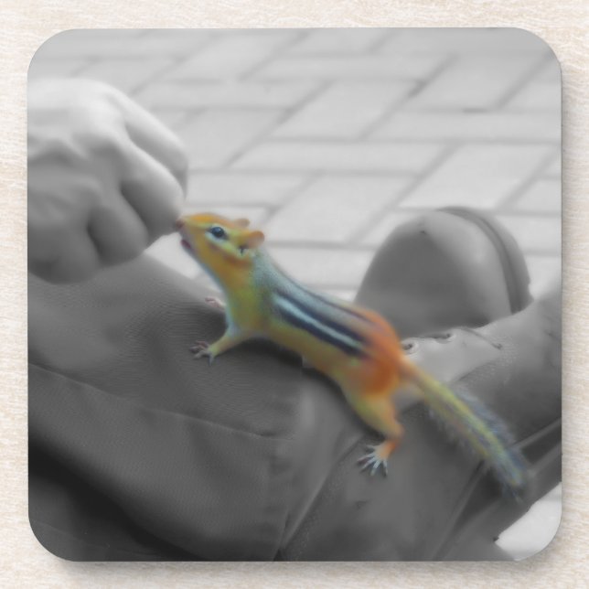 Chipmunk Lunch Untersetzer (Vorderseite)