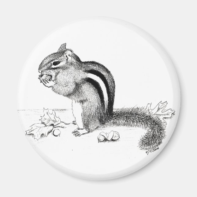 Chipmunk Magnet (Vorne)