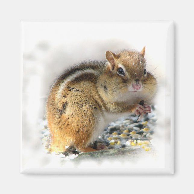 Chipmunk Magnet (Vorne)