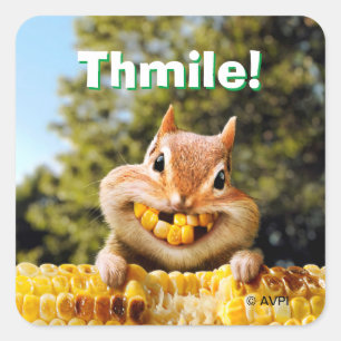 Chipmunk-Mais Quadratischer Aufkleber