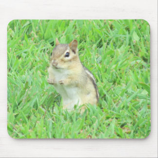 Chipmunk-Mausunterlage Mousepad
