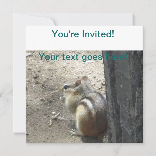 Chipmunk Midland Ontario Einladung (Vorderseite)