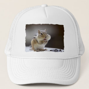 Chipmunk mit Backen-vollem Foto Truckerkappe