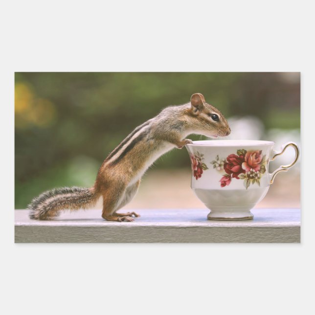 Chipmunk mit China Teacup Rechteckiger Aufkleber (Vorderseite)