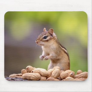 Chipmunk mit Erdnüssen Mousepad